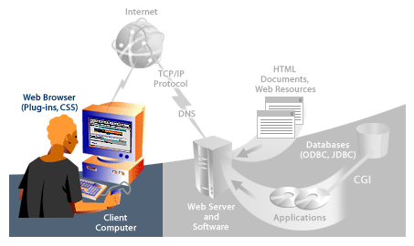 5) The client's computer receives the response message packet of new information of  documents and displays them in a web browser